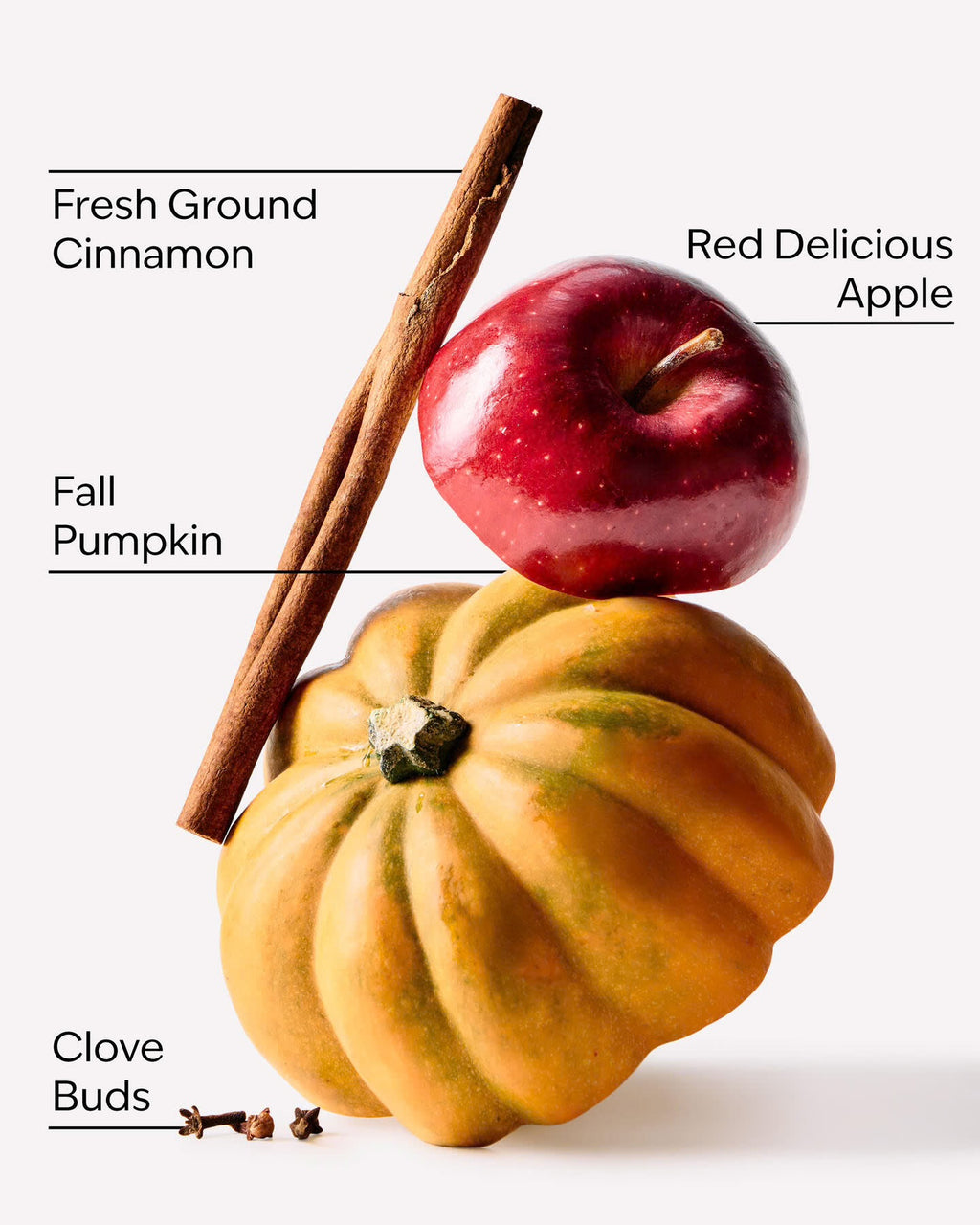 Bath & Body Works PocketBac - Pumpkin Apple